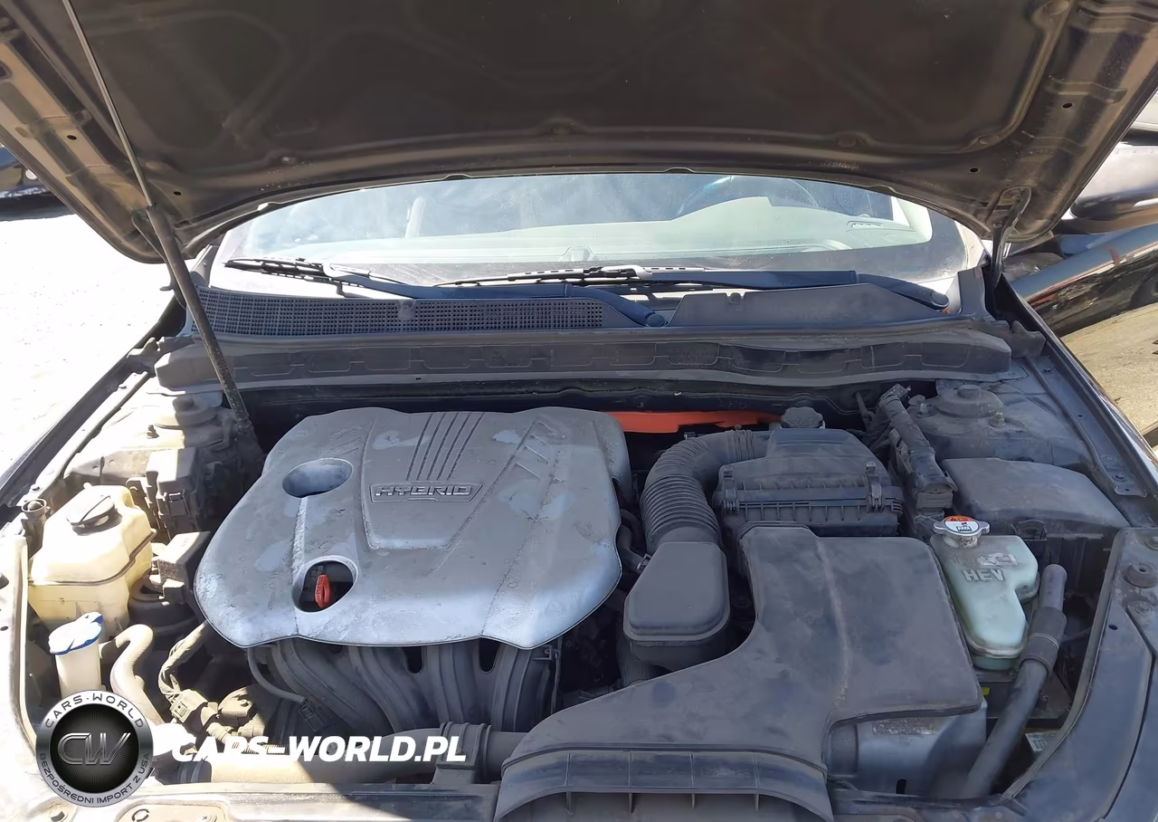 2016 Kia Optima Hybrid VIN:KNAGM4ADXG5096662 - 10