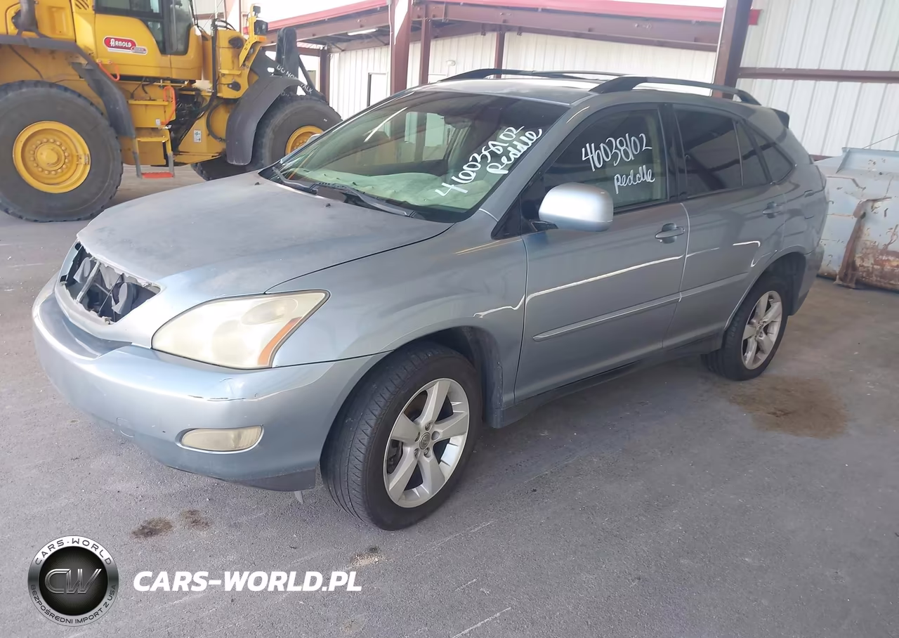 2004 Lexus Rx 330 VIN:JTJGA31U340043653 - 2