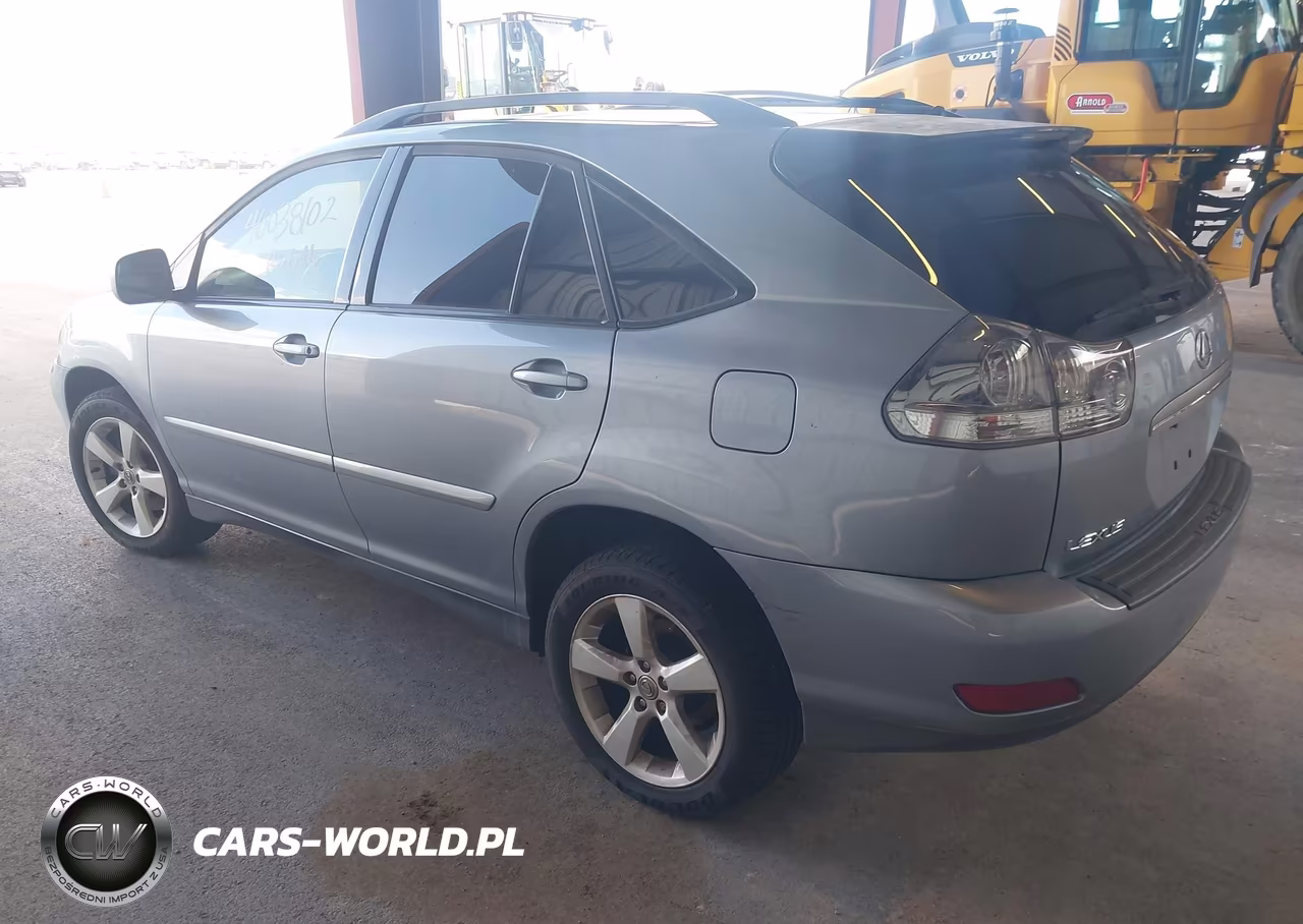 2004 Lexus Rx 330 VIN:JTJGA31U340043653 - 3