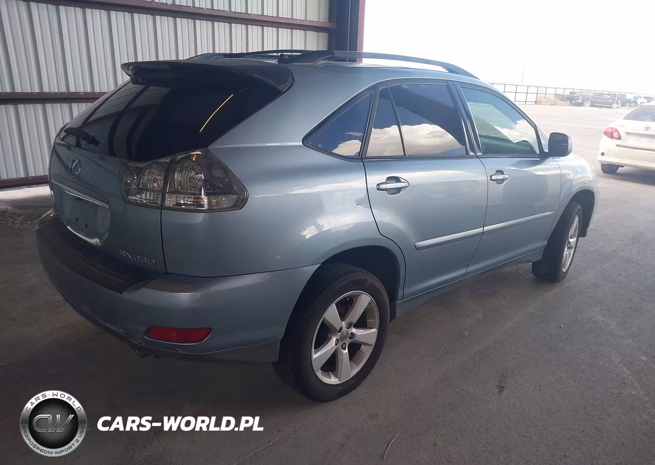 2004 Lexus Rx 330 VIN:JTJGA31U340043653 - 4