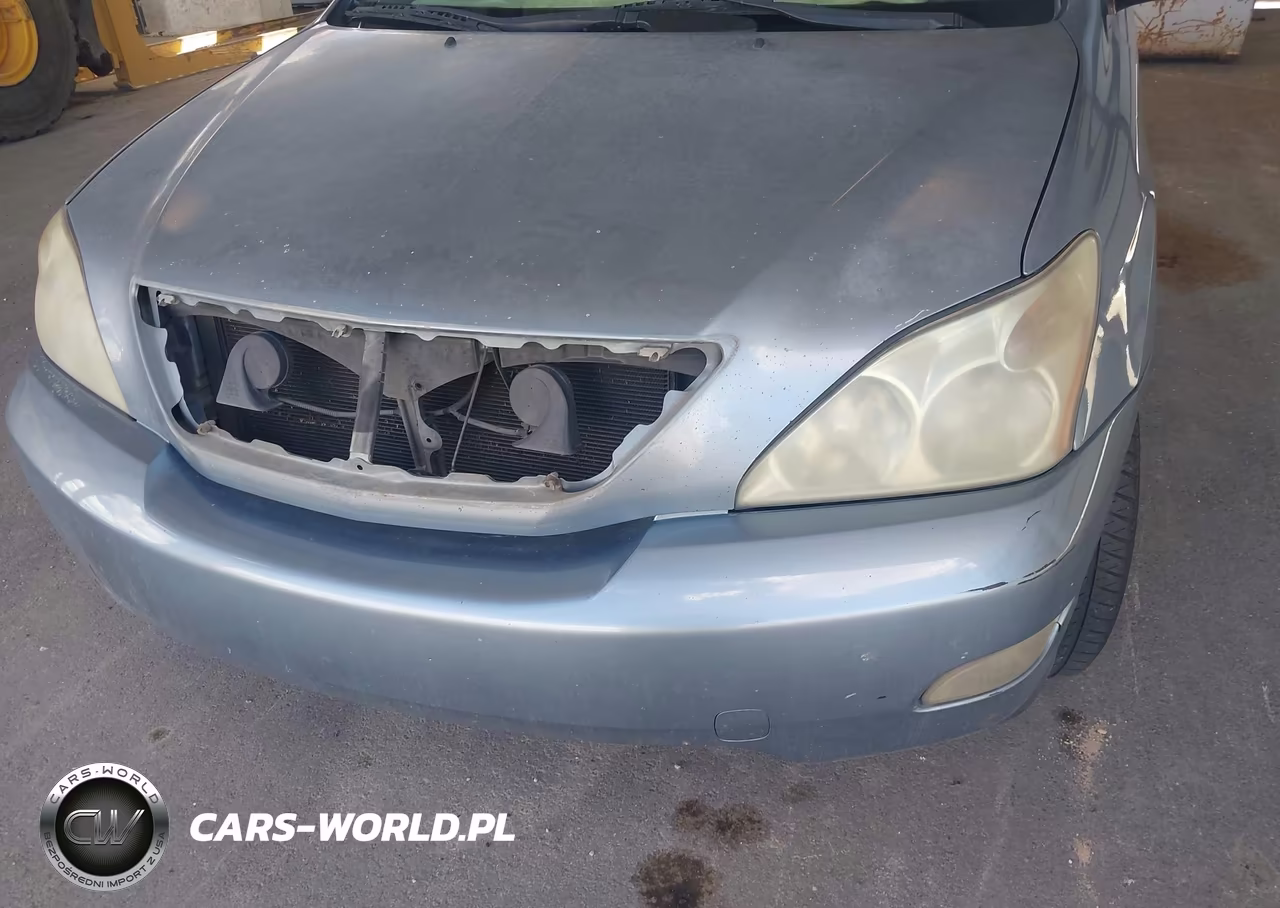 2004 Lexus Rx 330 VIN:JTJGA31U340043653 - 6