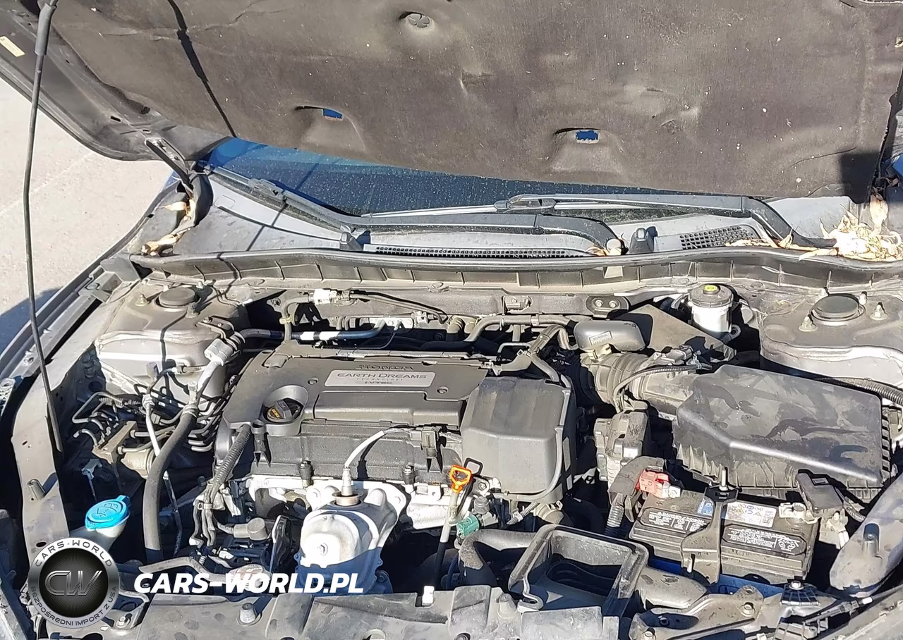 2014 Honda Accord Lx VIN:1HGCR2F38EA115920 - 10