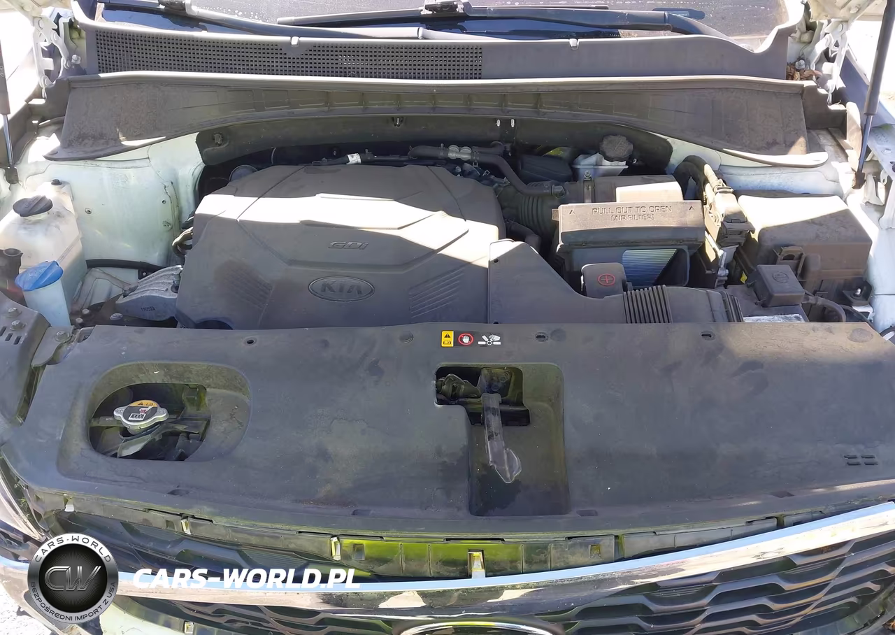 2020 Kia Sorento 3.3L Lx VIN:5XYPG4A53LG619914 - 10