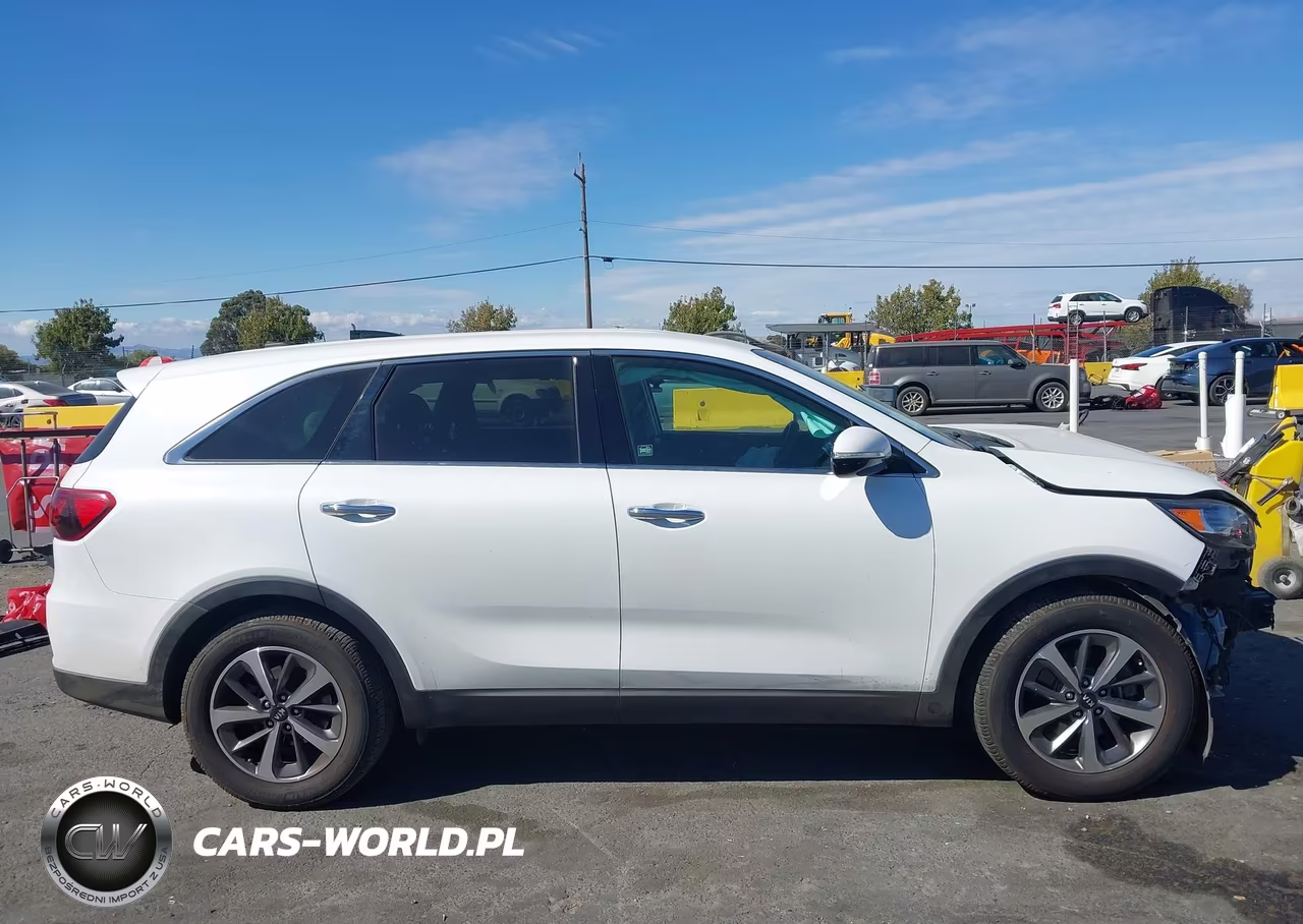 2020 Kia Sorento 3.3L Lx VIN:5XYPG4A53LG619914 - 13