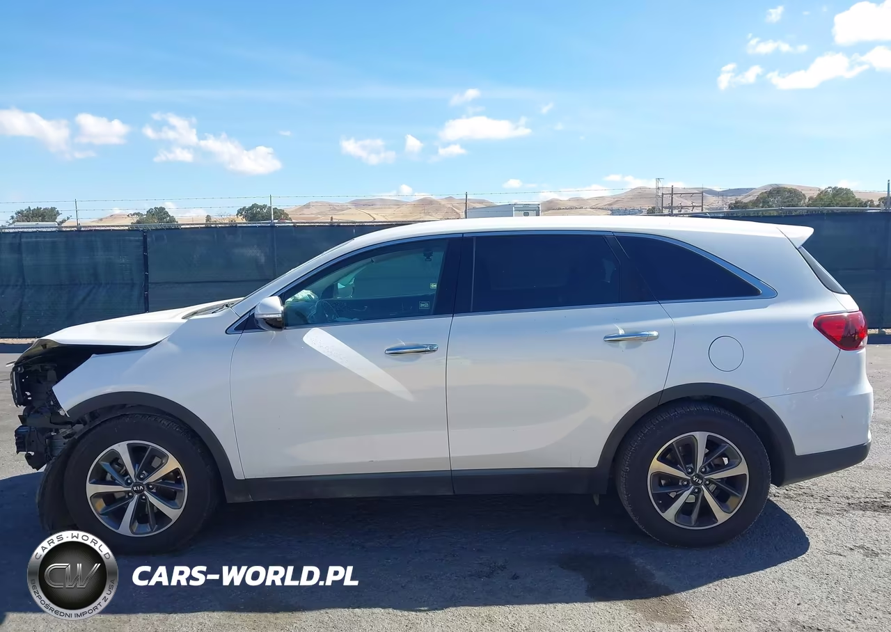2020 Kia Sorento 3.3L Lx VIN:5XYPG4A53LG619914 - 14