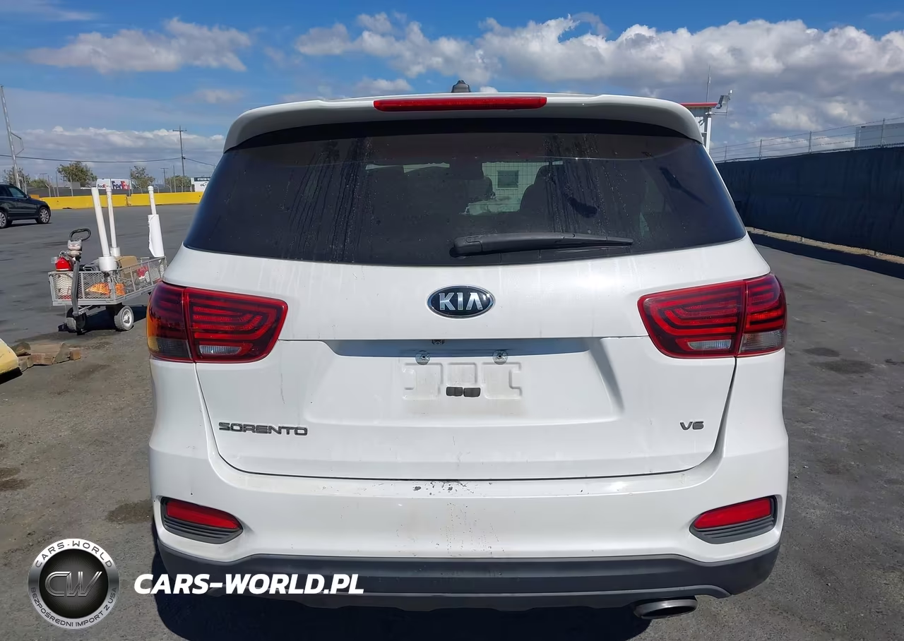 2020 Kia Sorento 3.3L Lx VIN:5XYPG4A53LG619914 - 16