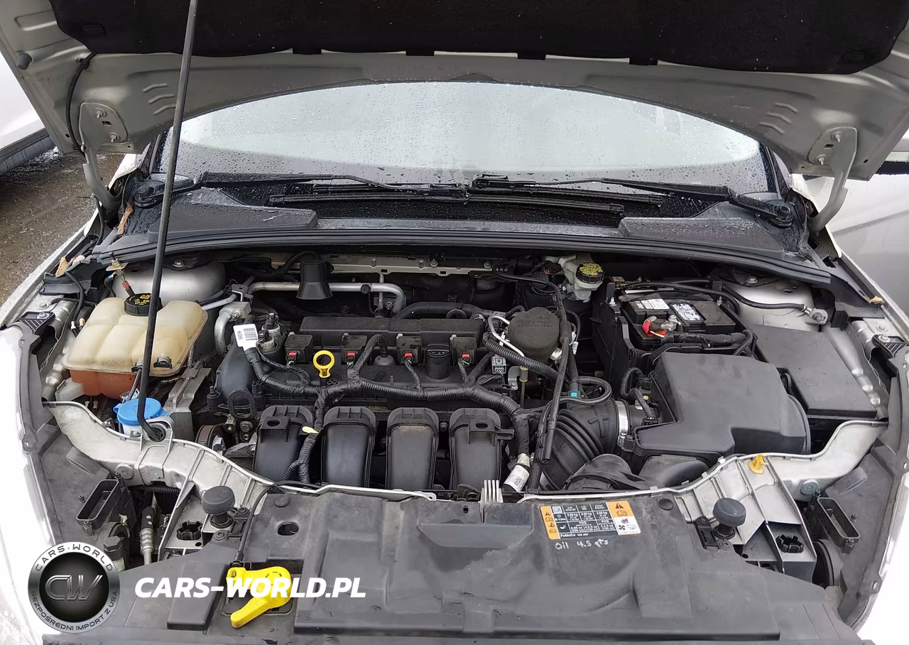 2015 Ford Focus Se VIN:1FADP3K25FL203167 - 10
