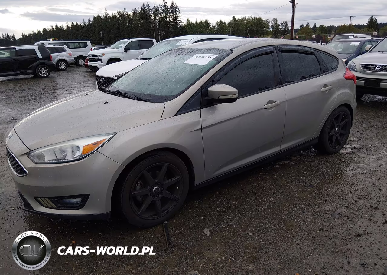 2015 Ford Focus Se VIN:1FADP3K25FL203167 - 13