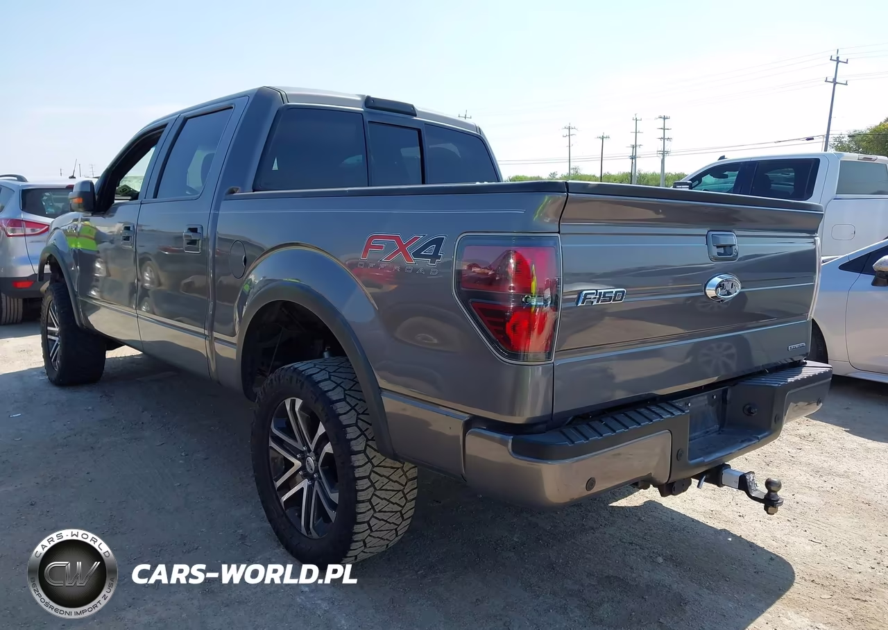 2013 Ford F-150 Fx4 VIN:1FTFW1EF4DKF36407 - 3