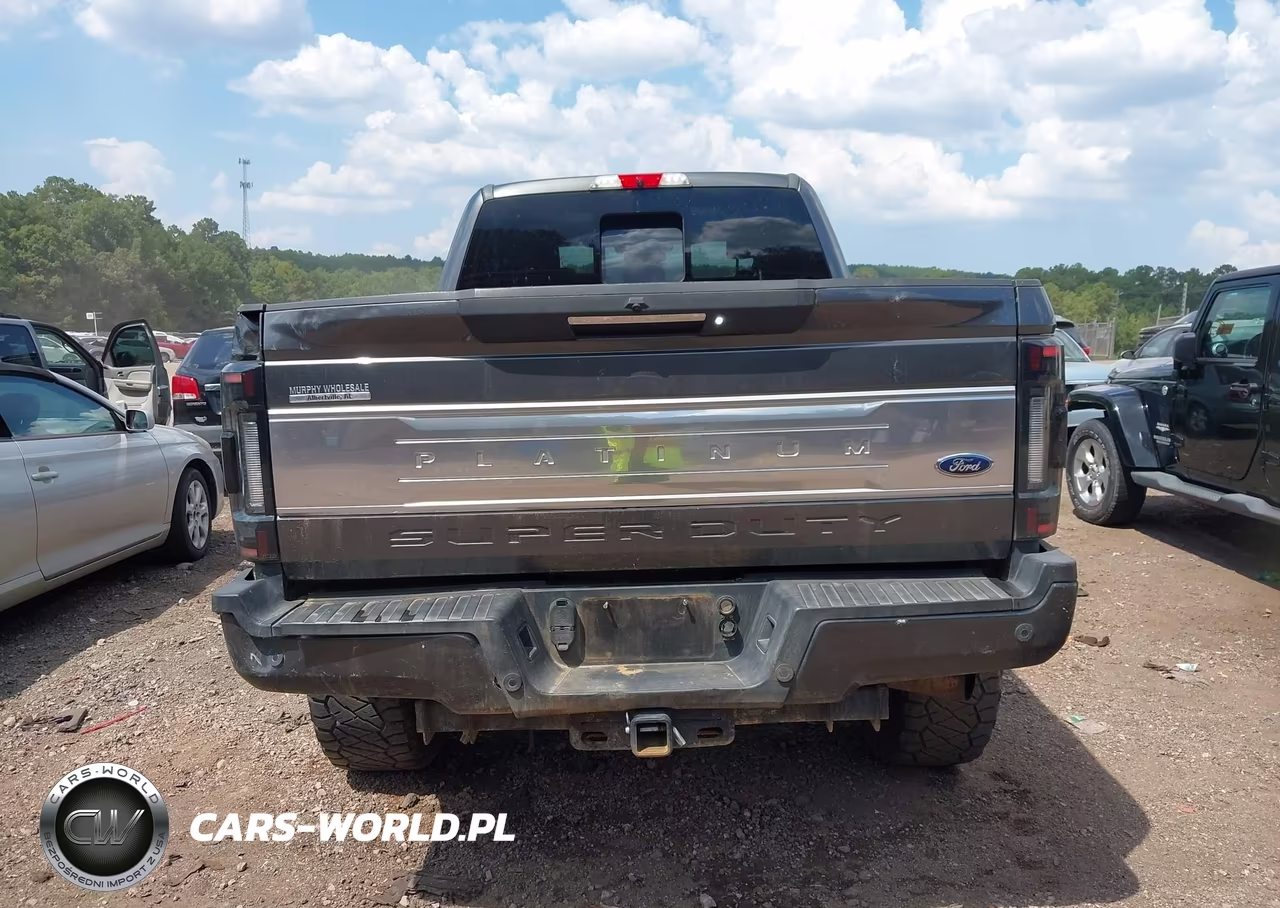 2017 Ford F-250 Platinum VIN:1FT7W2BTXHEB98097 - 16