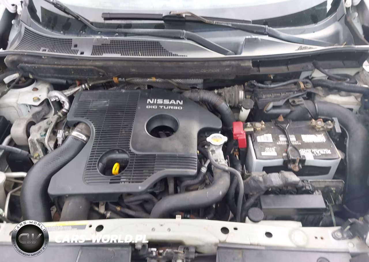 2014 Nissan Juke Sl VIN:JN8AF5MV8ET360522 - 10