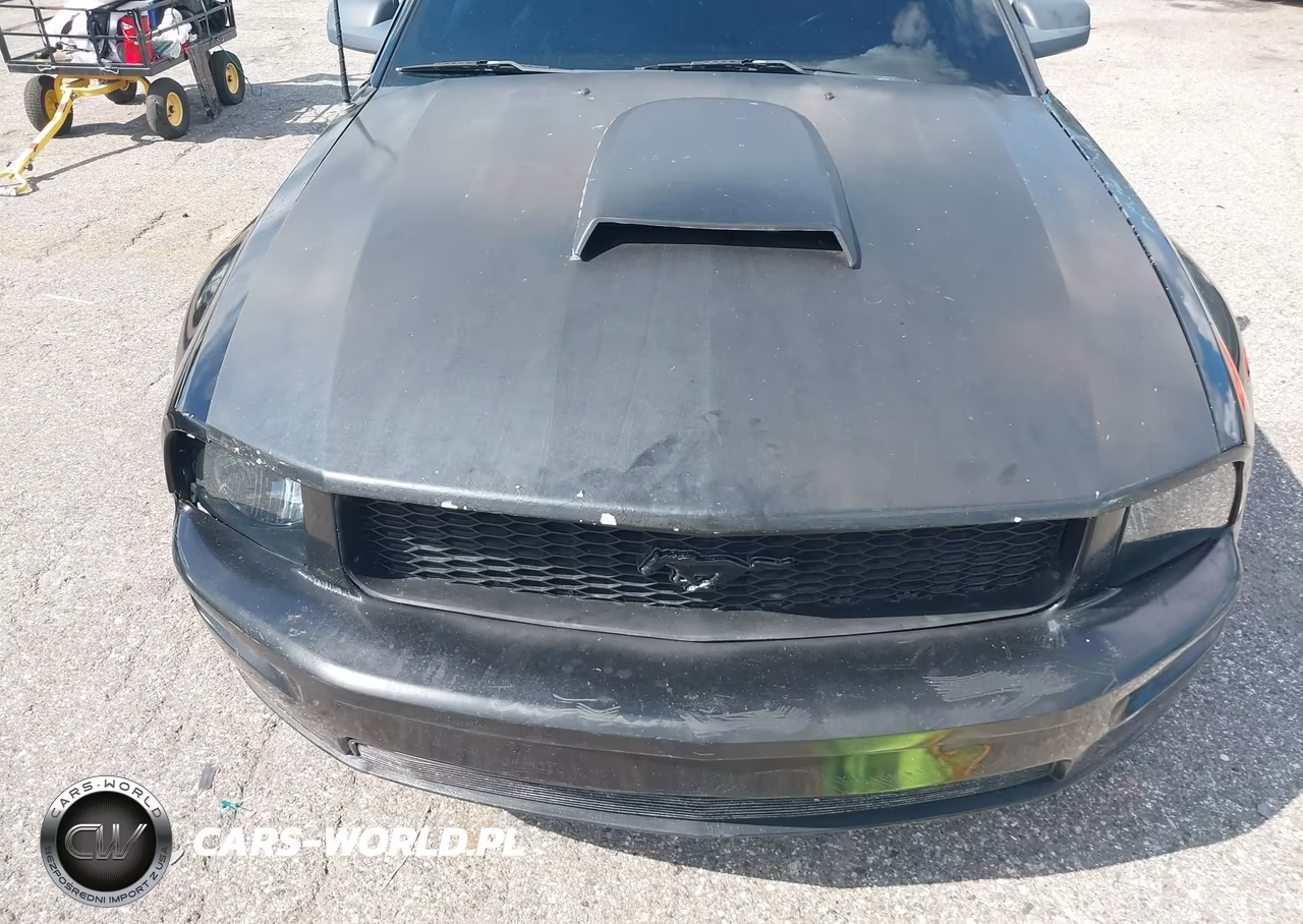 2006 Ford Mustang V6 VIN:1ZVFT84N465110340 - 12