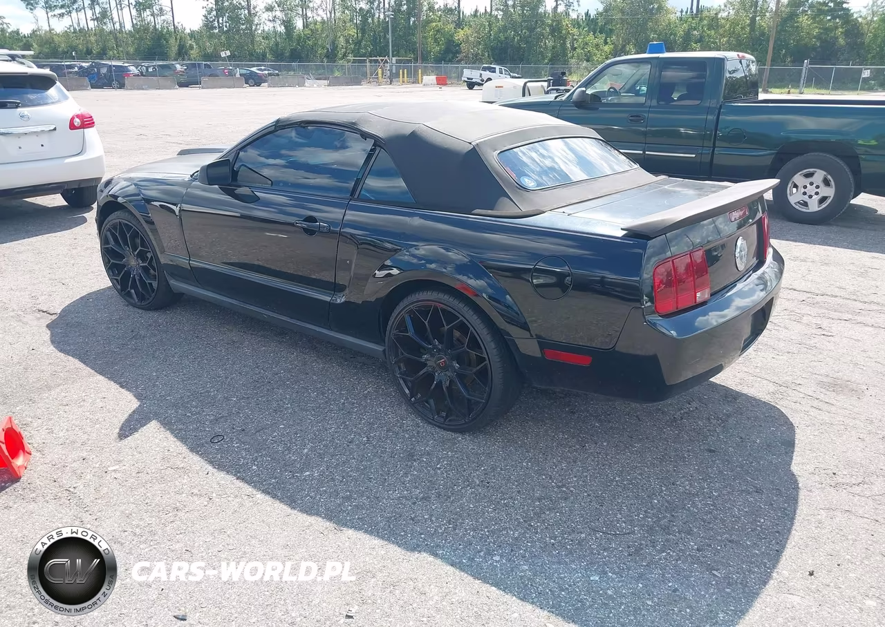 2006 Ford Mustang V6 VIN:1ZVFT84N465110340 - 3