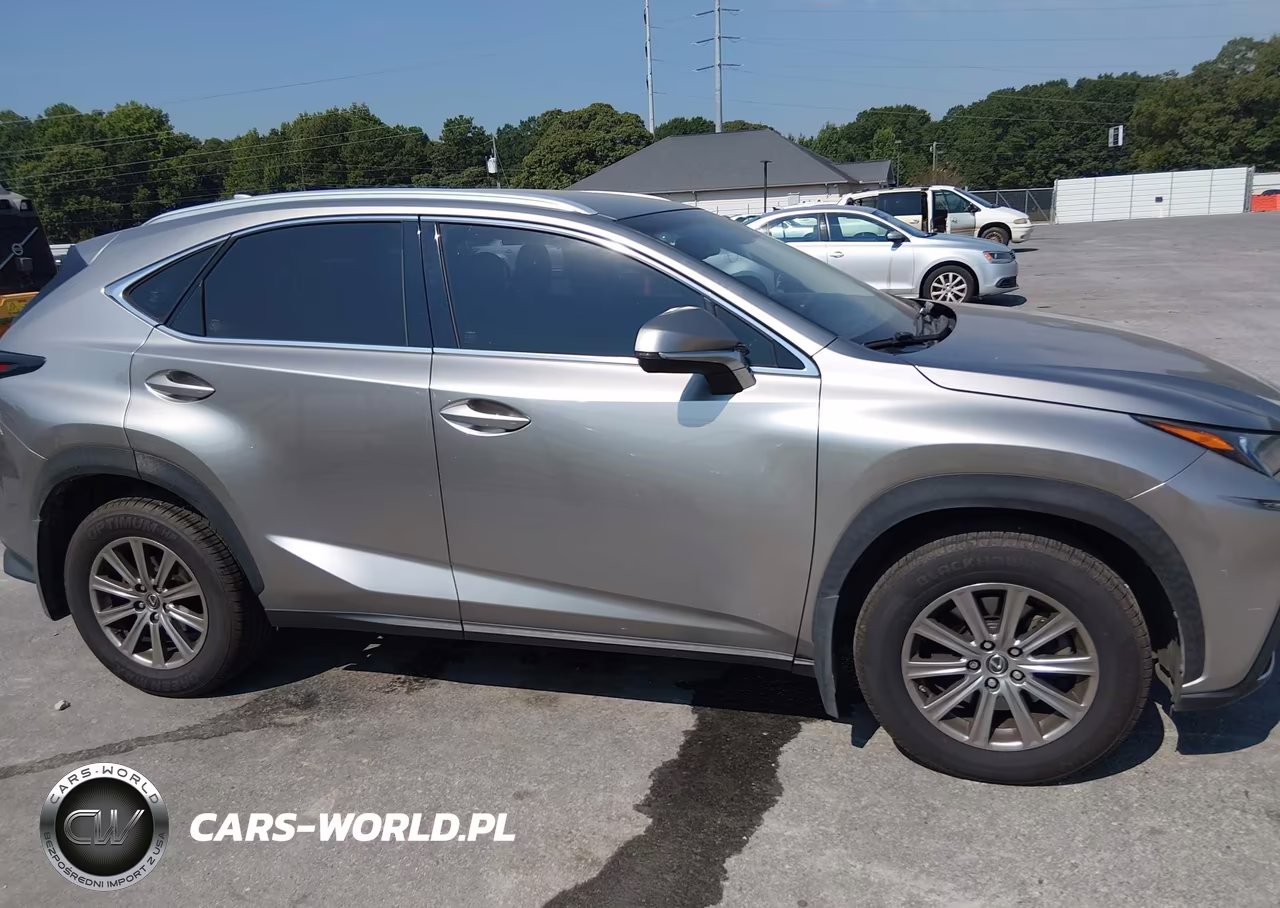 2018 Lexus Nx 300 VIN:JTJYARBZ4J2114084 - 13