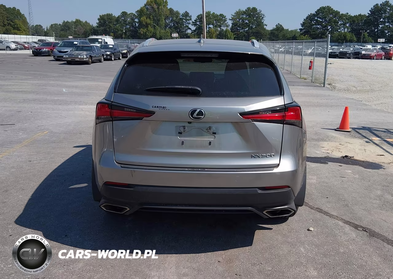 2018 Lexus Nx 300 VIN:JTJYARBZ4J2114084 - 16
