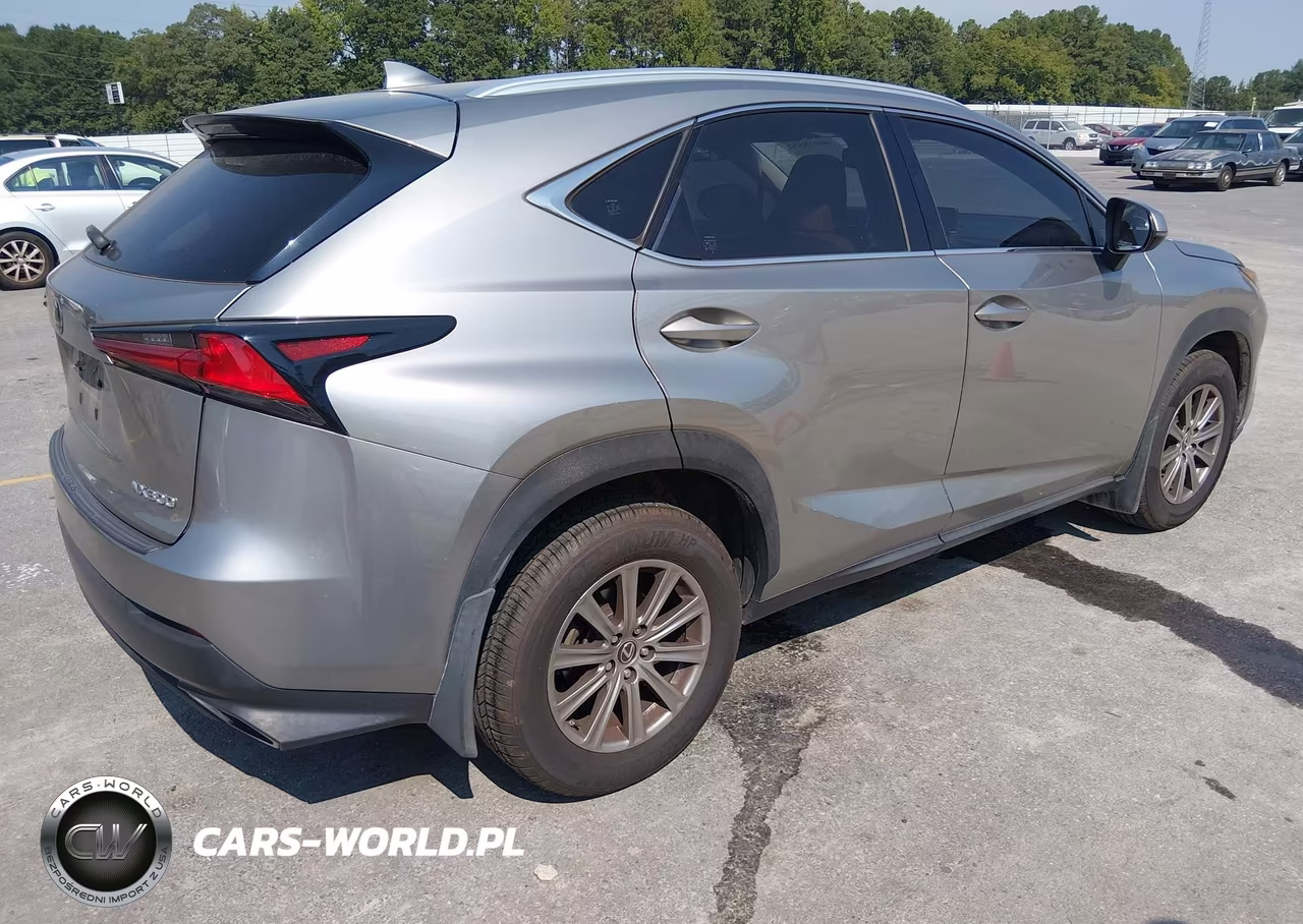 2018 Lexus Nx 300 VIN:JTJYARBZ4J2114084 - 4