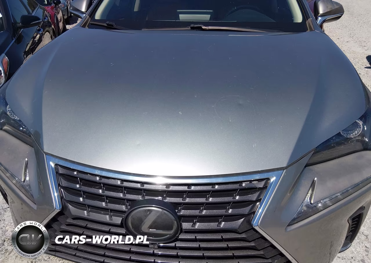 2018 Lexus Nx 300 VIN:JTJYARBZ4J2114084 - 6