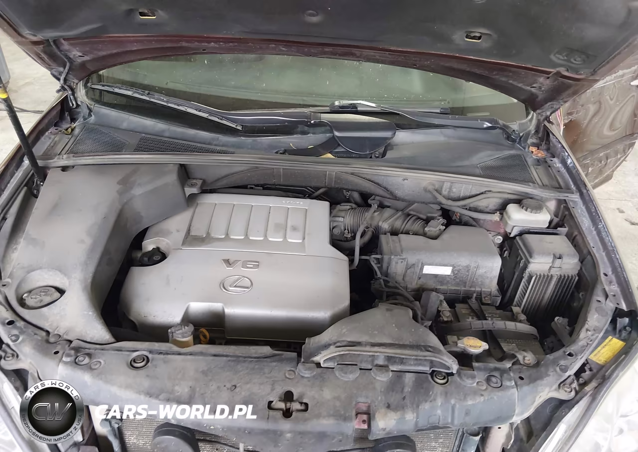 LEXUS RX 350 VIN:JTJHK31U282852704 - 10
