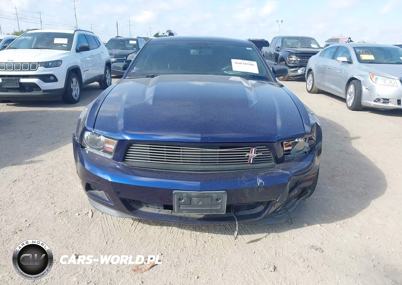 2012 Ford Mustang V6 Premium VIN:1ZVBP8AM4C5281504 - 12