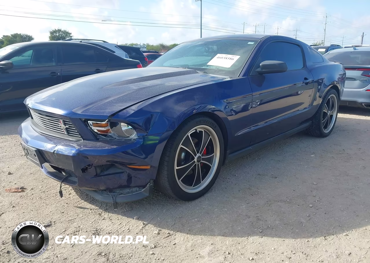 2012 Ford Mustang V6 Premium VIN:1ZVBP8AM4C5281504 - 2