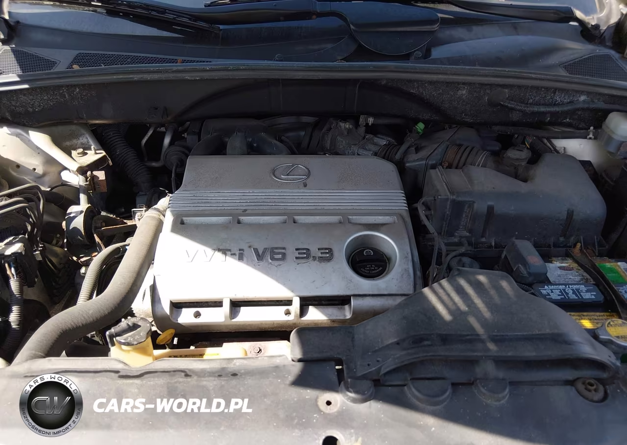 2004 Lexus Rx 330 VIN:JTJHA31U740007436 - 10