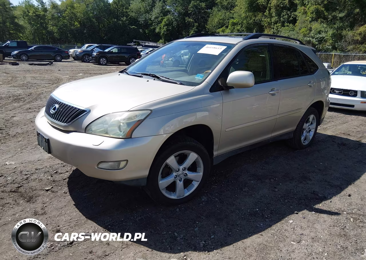 2004 Lexus Rx 330 VIN:JTJHA31U740007436 - 2