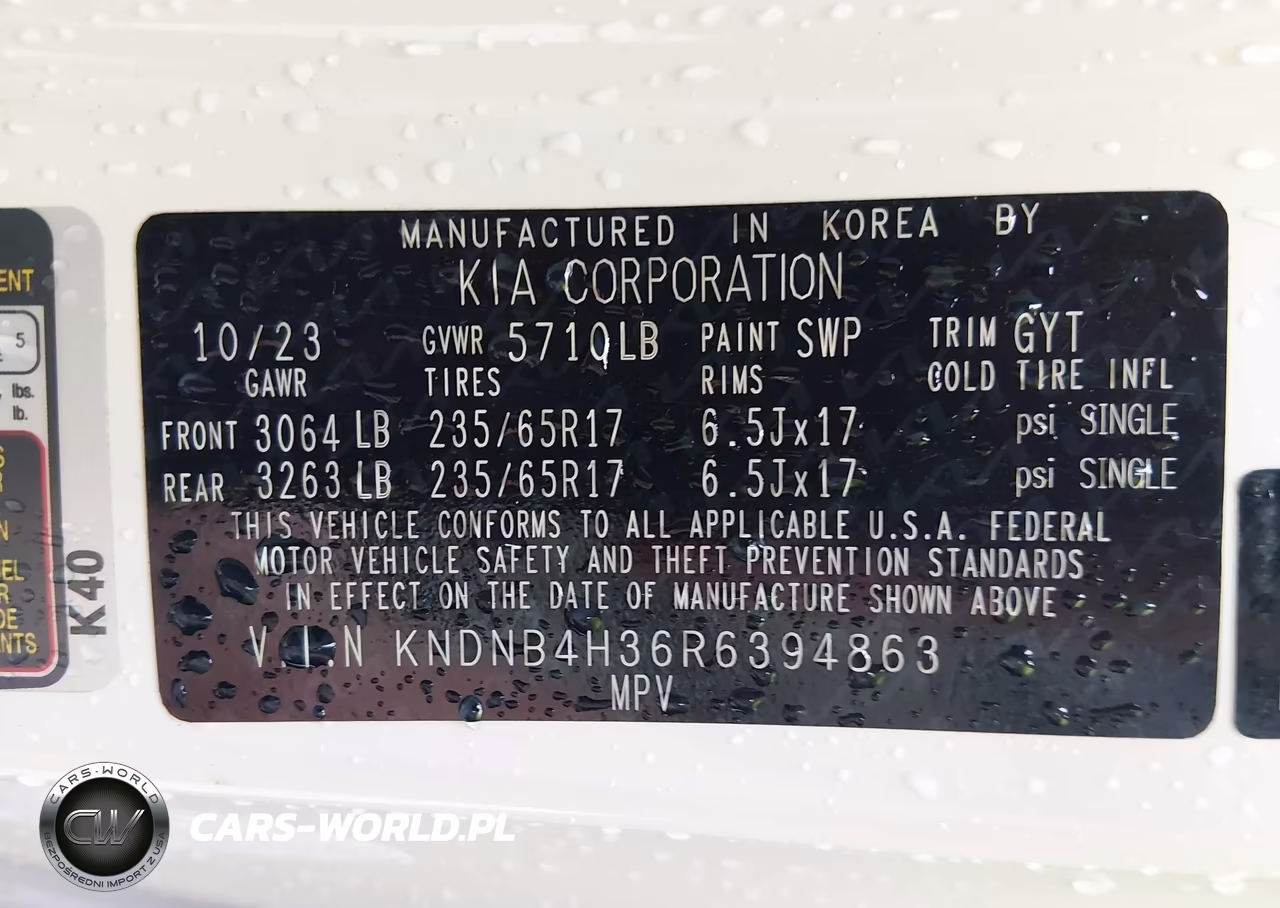 2024 Kia Carnival Mpv Lx VIN:KNDNB4H36R6394863 - 9