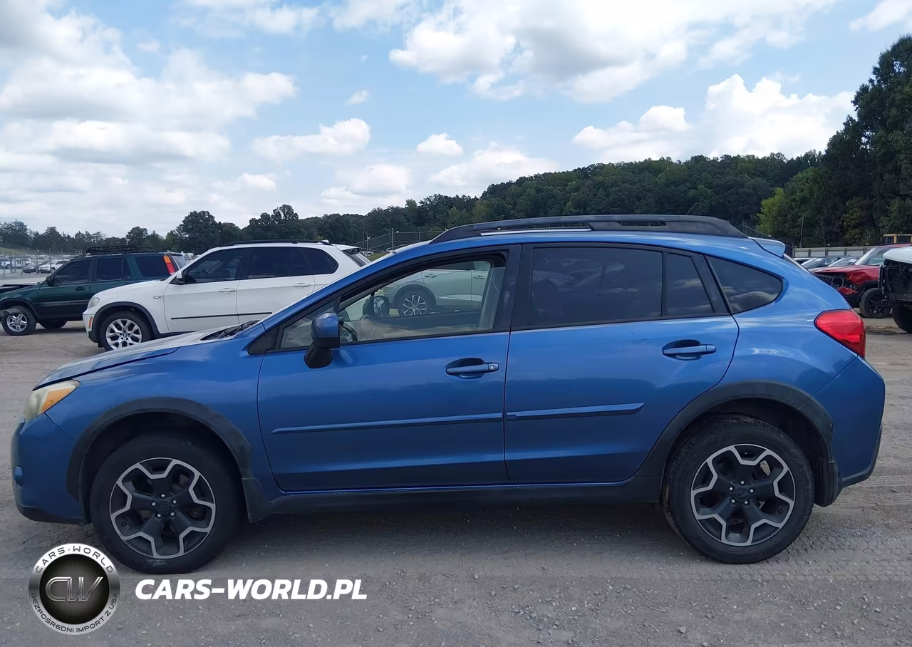 2014 Subaru Xv Crosstrek 2.0I Premium VIN:JF2GPACC6E8284461 - 14