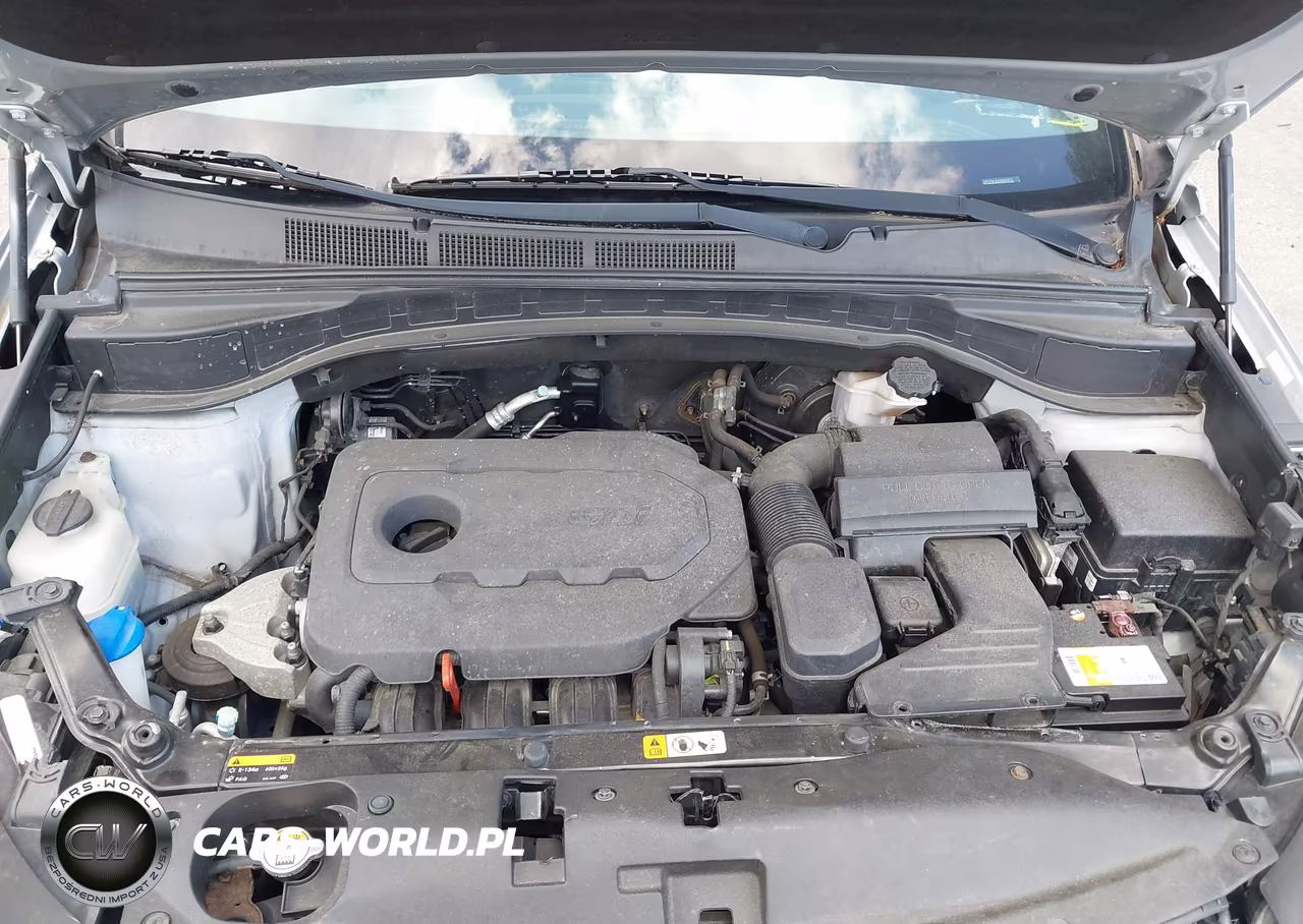 2017 Hyundai Santa Fe Sport 2.4L VIN:5XYZTDLB4HG393073 - 10