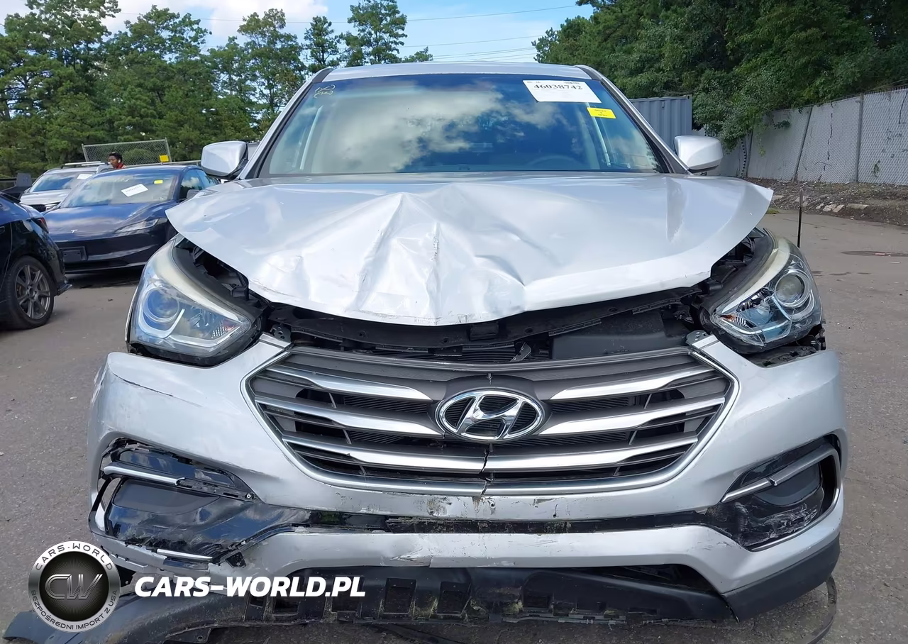 2017 Hyundai Santa Fe Sport 2.4L VIN:5XYZTDLB4HG393073 - 6