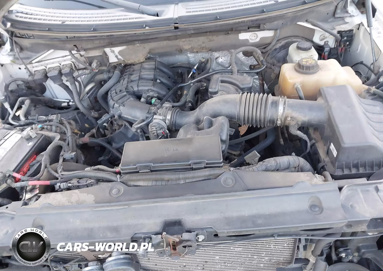 2013 Ford F-150 Xl VIN:1FTMF1CM3DKD55968 - 10
