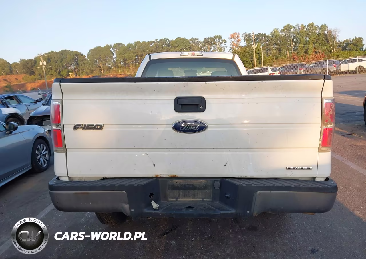 2013 Ford F-150 Xl VIN:1FTMF1CM3DKD55968 - 16