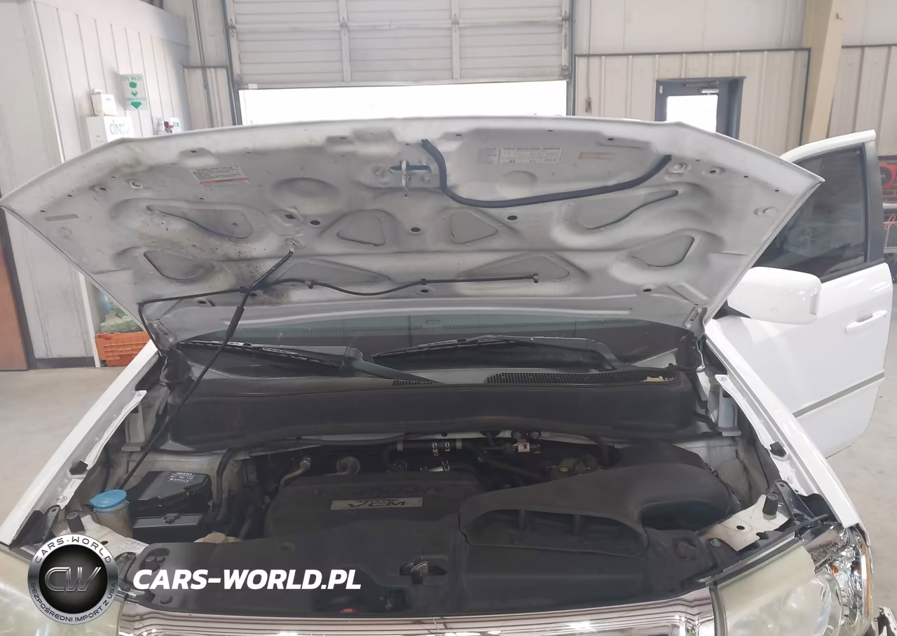 2009 Honda Pilot Touring VIN:5FNYF38849B003639 - 10