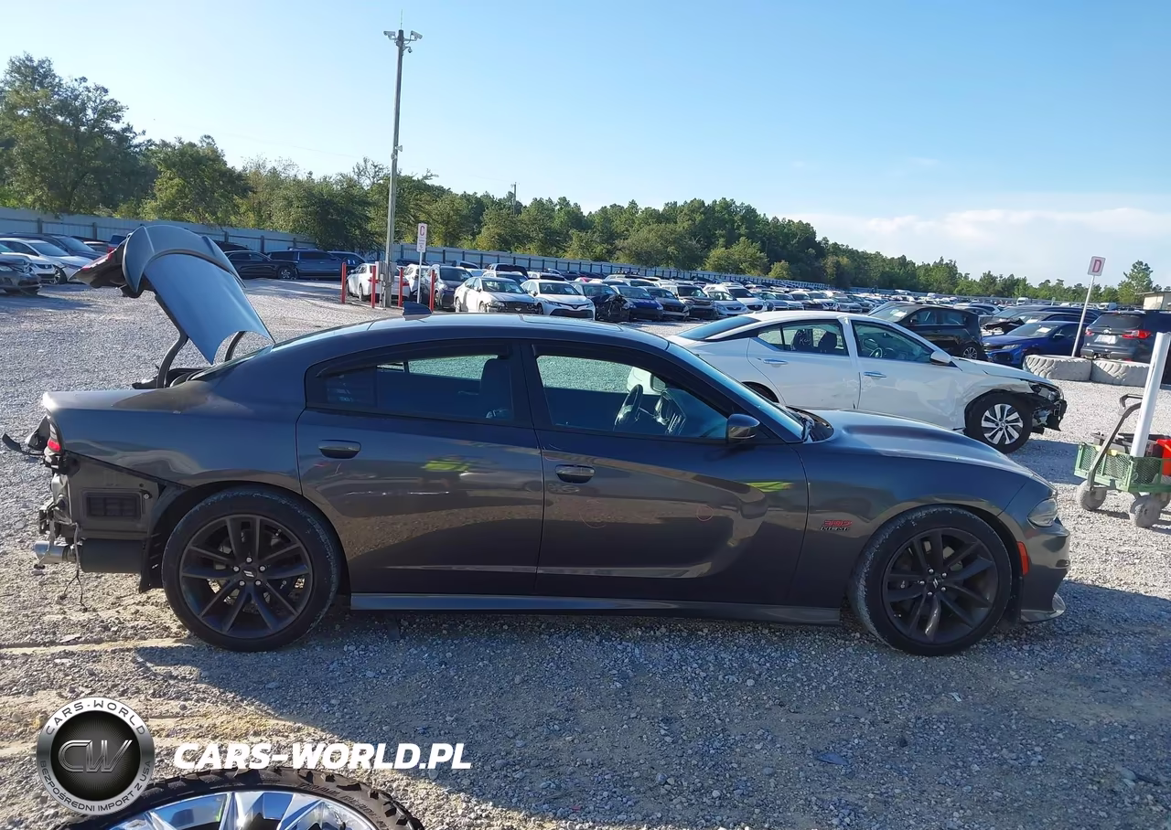 2019 Dodge Charger Scat Pack Rwd VIN:2C3CDXGJ0KH735931 - 14