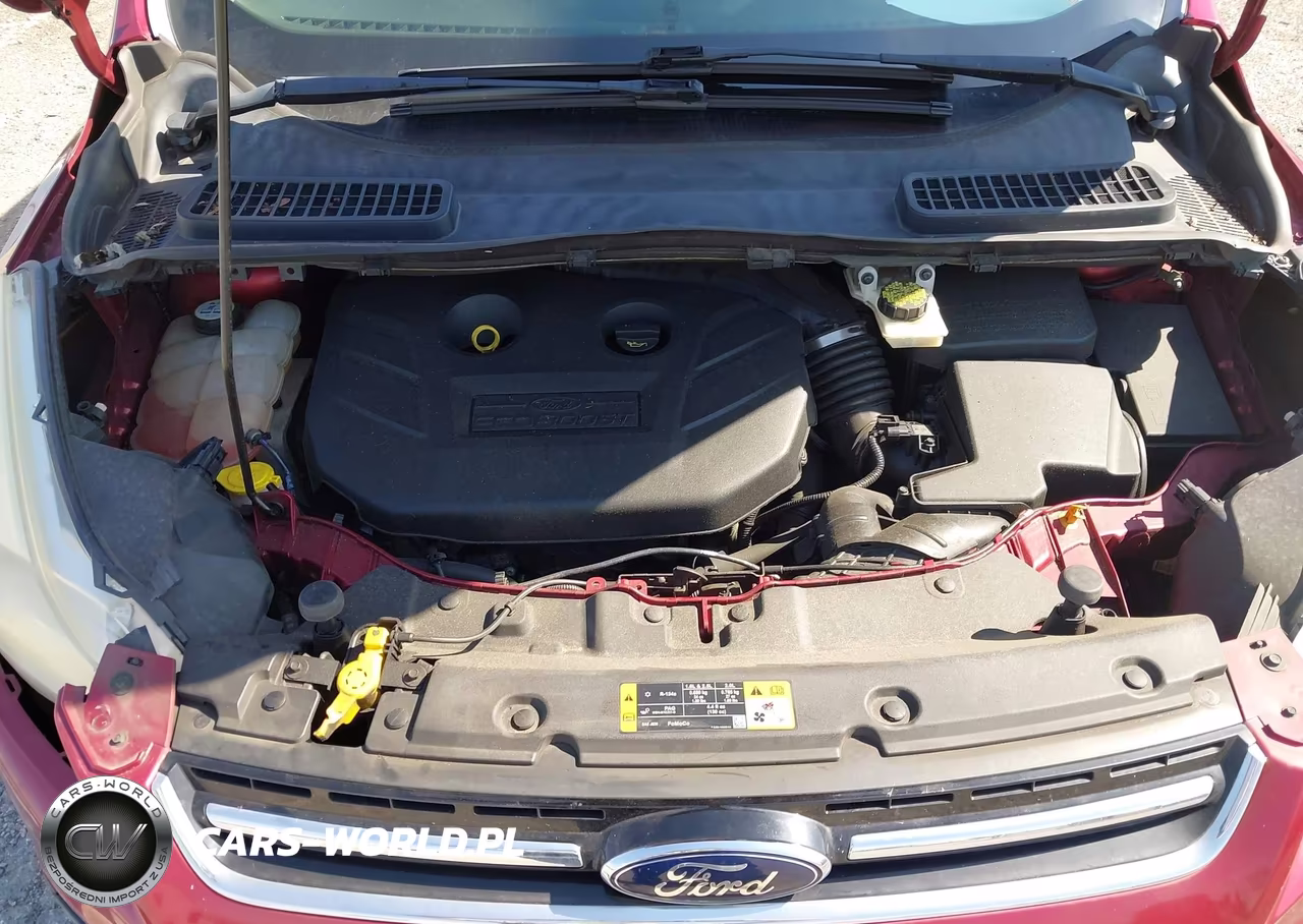 2013 Ford Escape Sel VIN:1FMCU9H92DUC38130 - 10