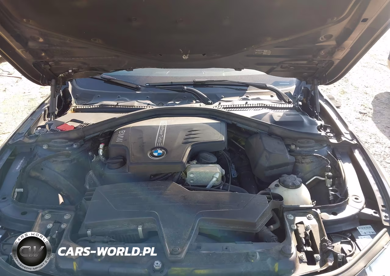2014 BMW 428I xDrive VIN:WBA3N9C57EF720164 - 10