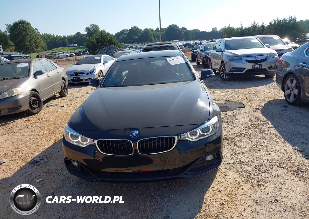 2014 BMW 428I xDrive VIN:WBA3N9C57EF720164 - 12