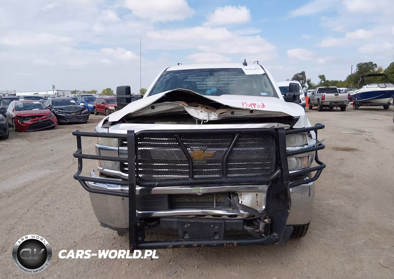 2015 Chevrolet Silverado 2500Hd Wt VIN:1GC2KUEG7FZ534407 - 12