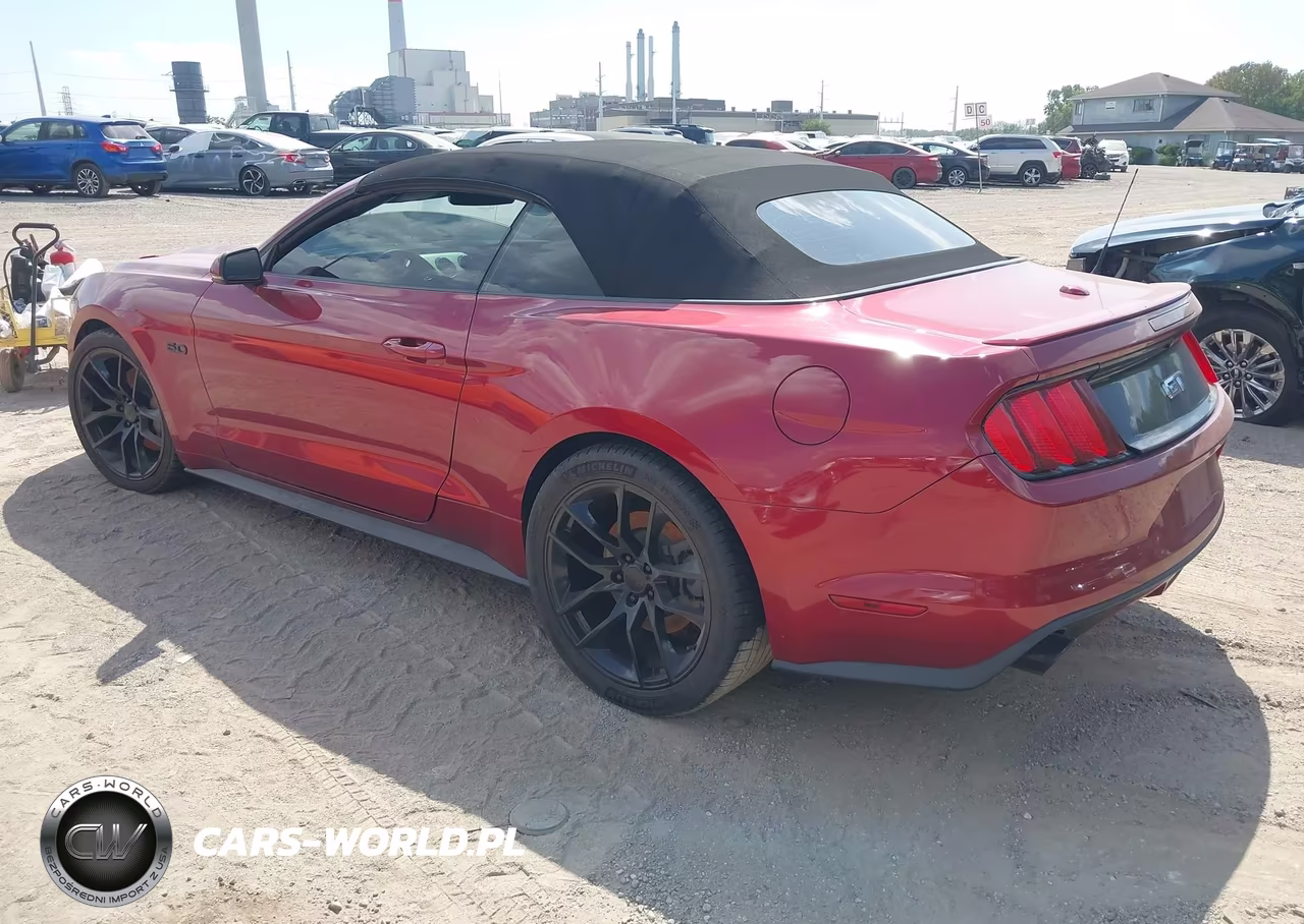 2015 Ford Mustang Gt Premium VIN:1FATP8FF4F5423247 - 3