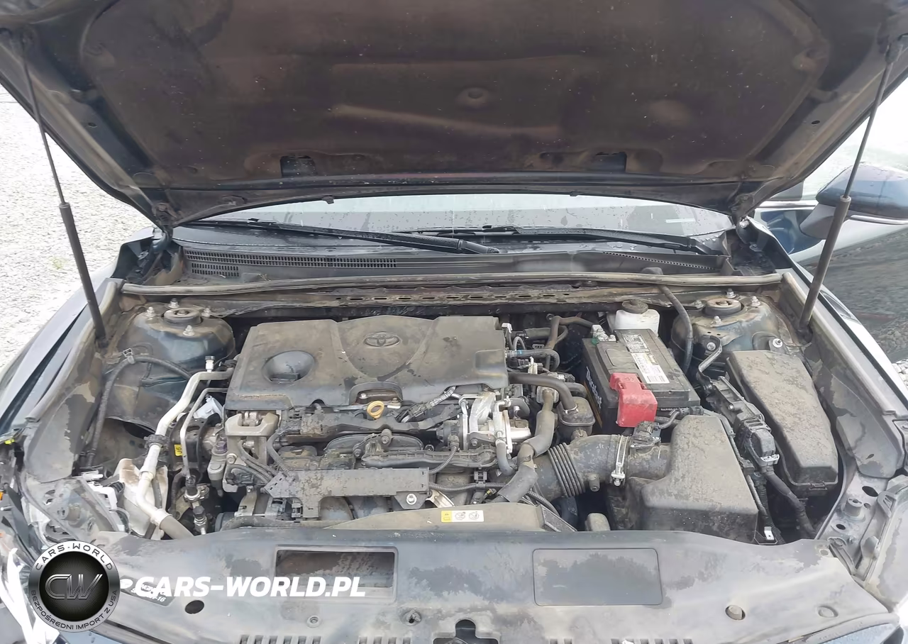 2019 Toyota Camry Le VIN:4T1B11HK6KU709427 - 10