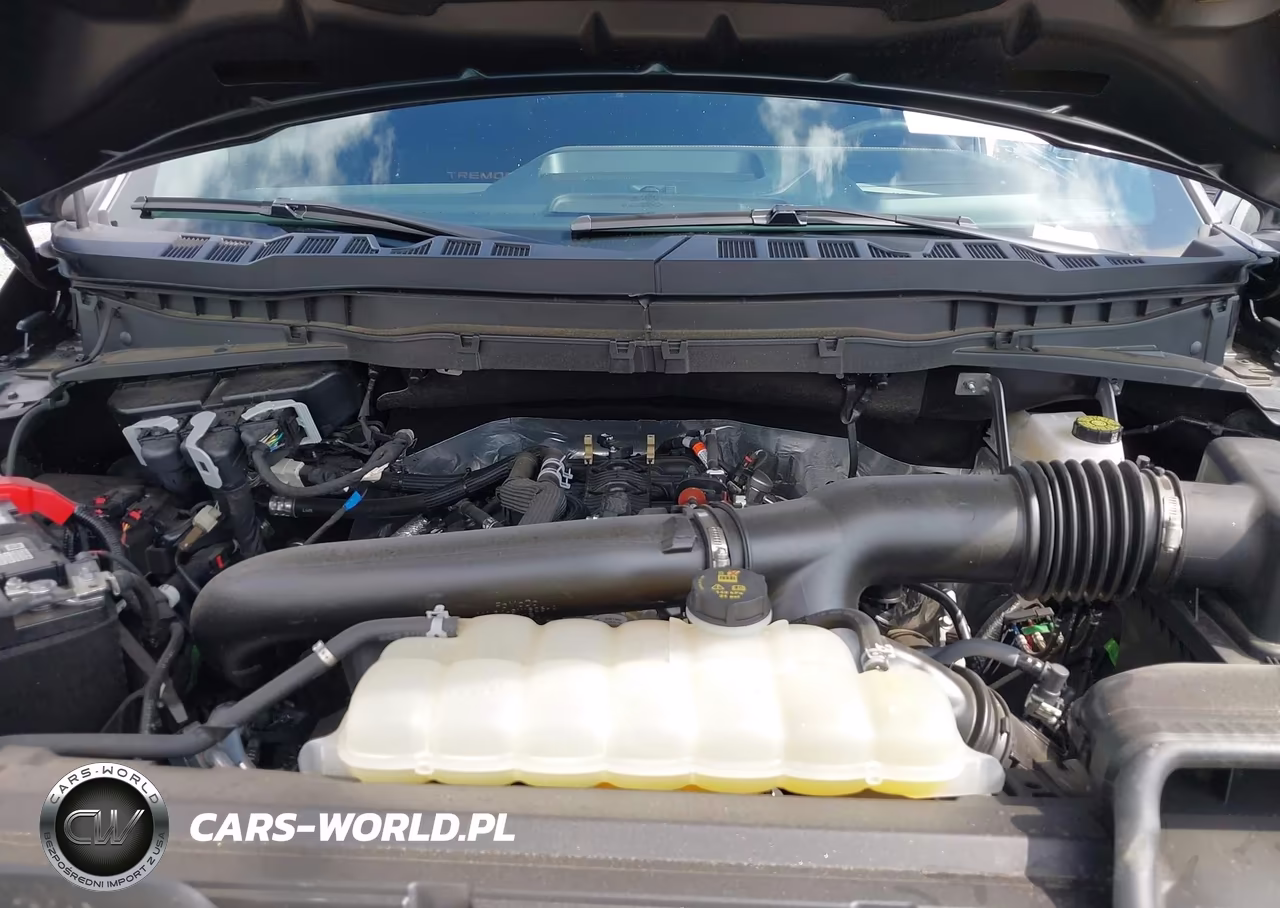 2025 Ford F-150 Tremor VIN:1FTFW4L83SFC47949 - 10