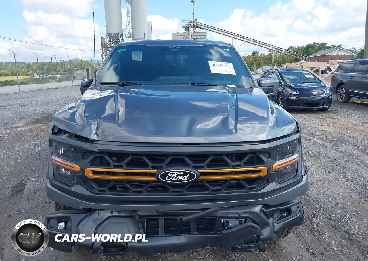 2025 Ford F-150 Tremor VIN:1FTFW4L83SFC47949 - 12