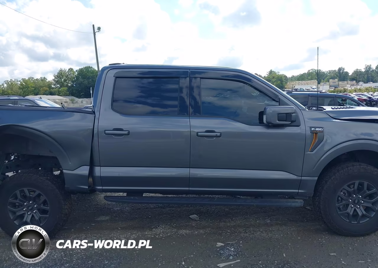 2025 Ford F-150 Tremor VIN:1FTFW4L83SFC47949 - 13
