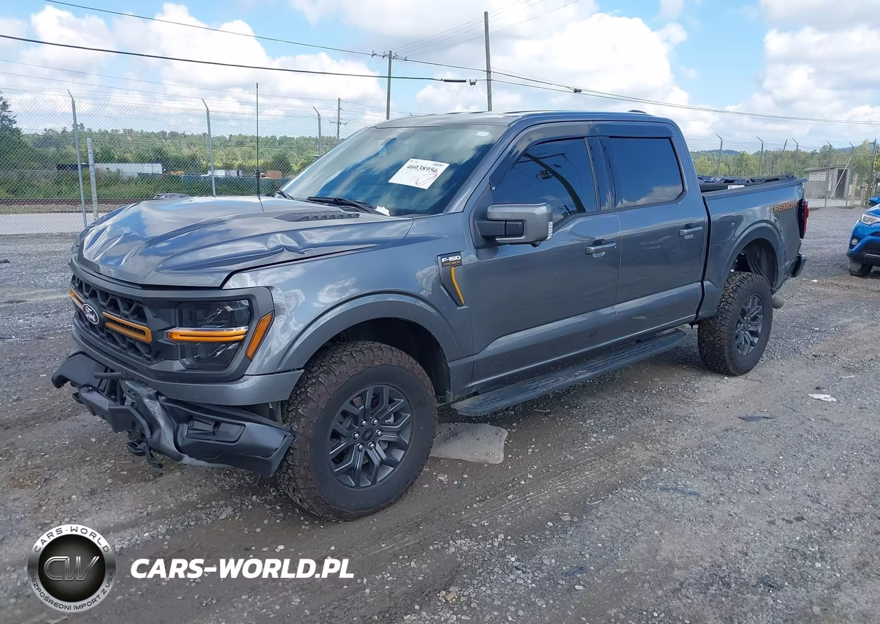 2025 Ford F-150 Tremor VIN:1FTFW4L83SFC47949 - 2