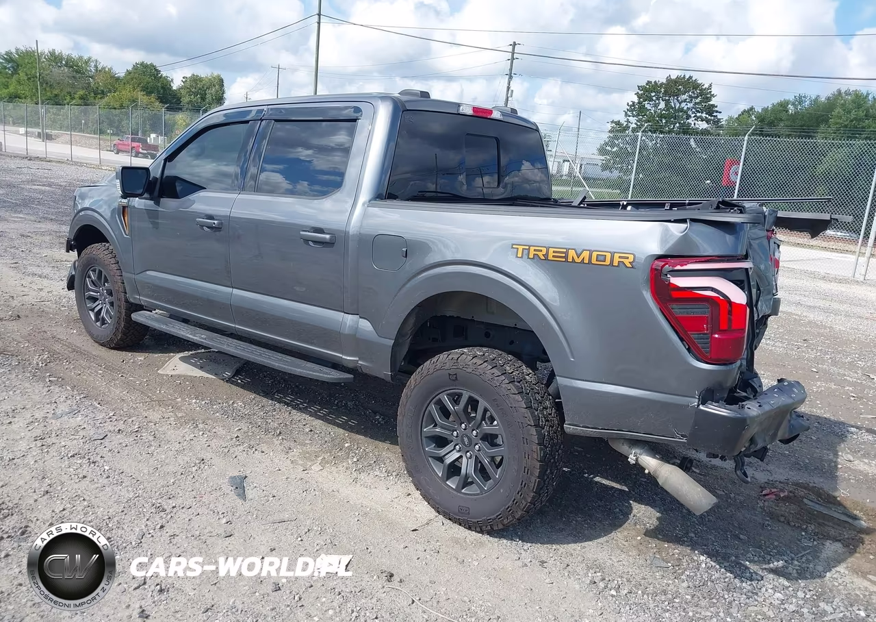2025 Ford F-150 Tremor VIN:1FTFW4L83SFC47949 - 3