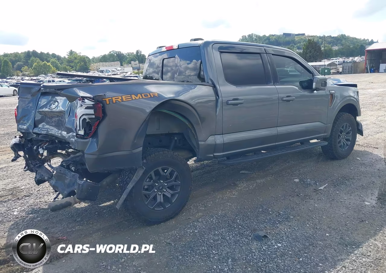 2025 Ford F-150 Tremor VIN:1FTFW4L83SFC47949 - 4