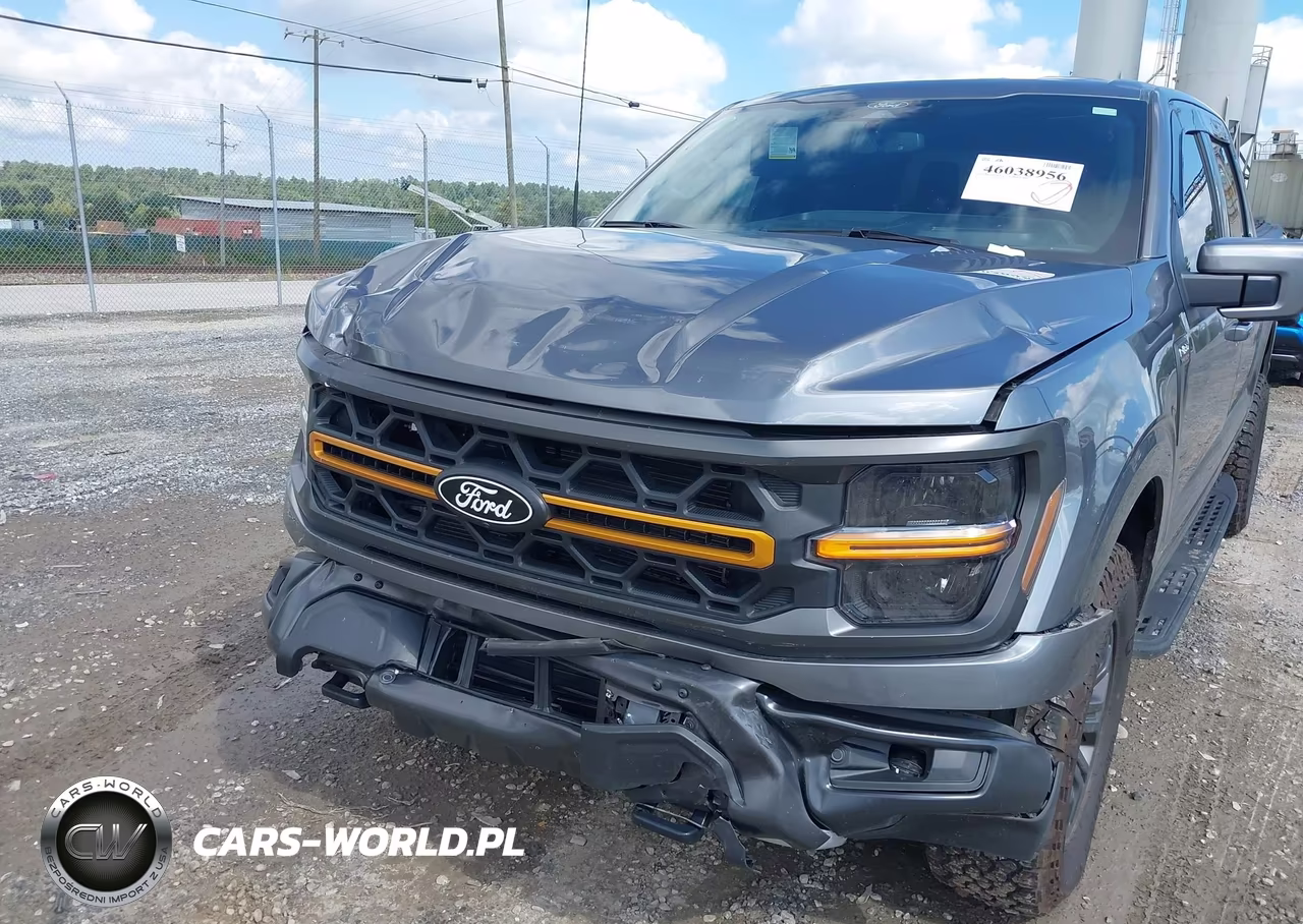 2025 Ford F-150 Tremor VIN:1FTFW4L83SFC47949 - 6