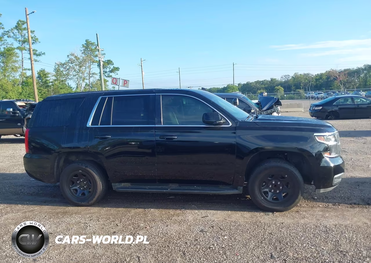 2020 Chevrolet Tahoe 2Wd Commercial Fleet VIN:1GNLCDEC5LR230719 - 13
