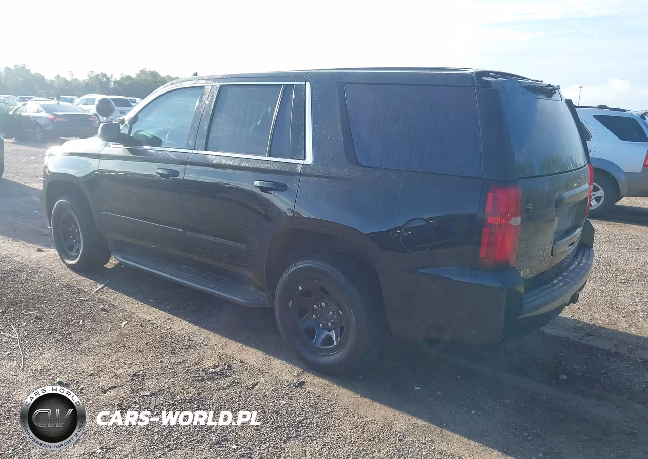 2020 Chevrolet Tahoe 2Wd Commercial Fleet VIN:1GNLCDEC5LR230719 - 3