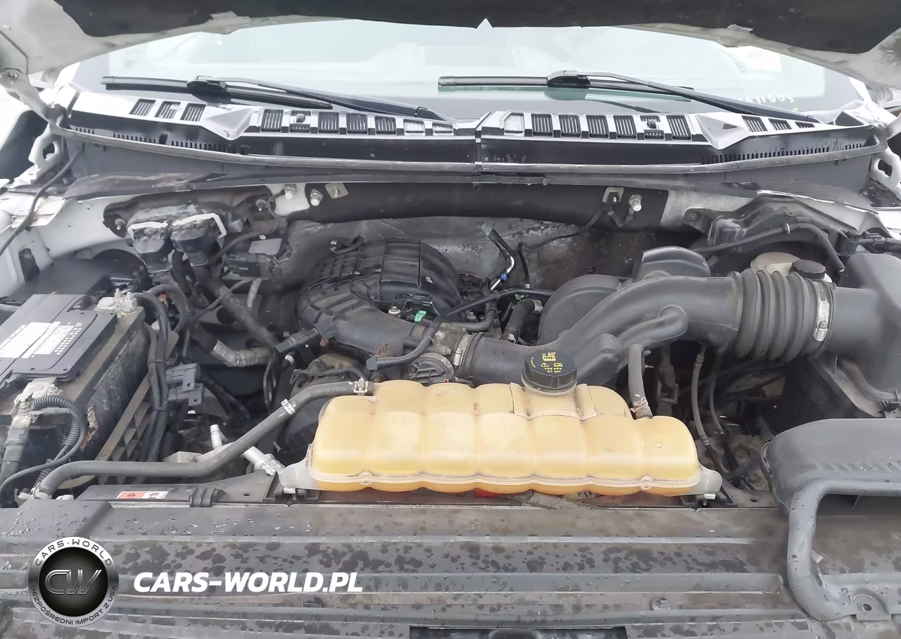 2016 Ford F-150 Xl VIN:1FTEW1E83GFB03171 - 10